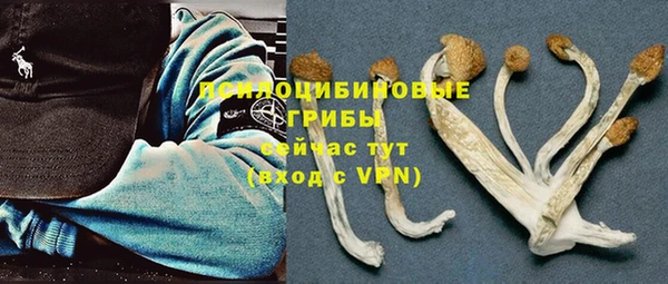 прущая мука Михайловск