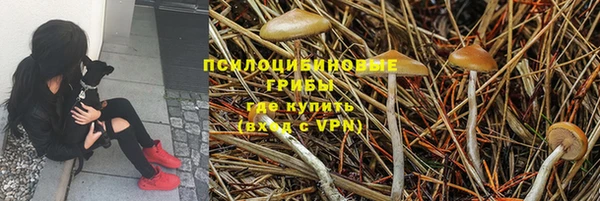 прущая мука Михайловск
